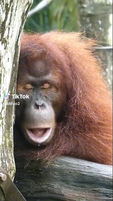 Goodnight everyone😂😂😂😂