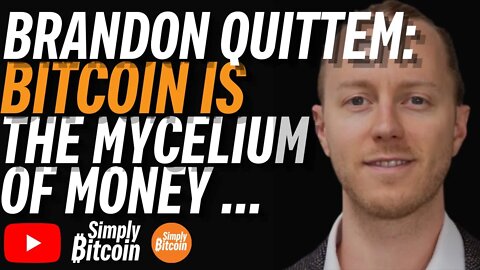 BRANDON QUITTEM: Bitcoin Is The Mycelium of Money