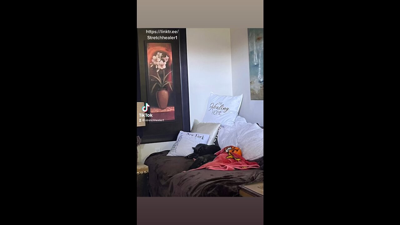 Happy Saturday ❤️🇨🇦💃🏻