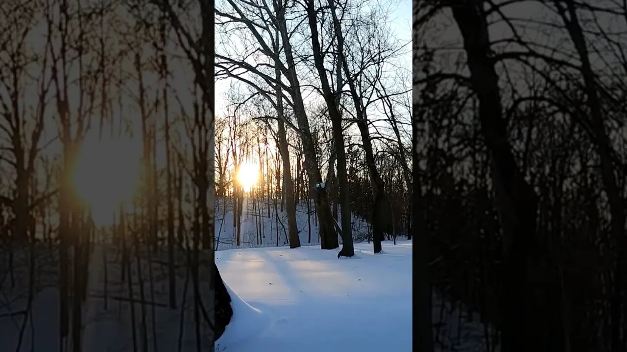 noticed this weird sporadically moving orb in recent video 🤔 ? What is this ?