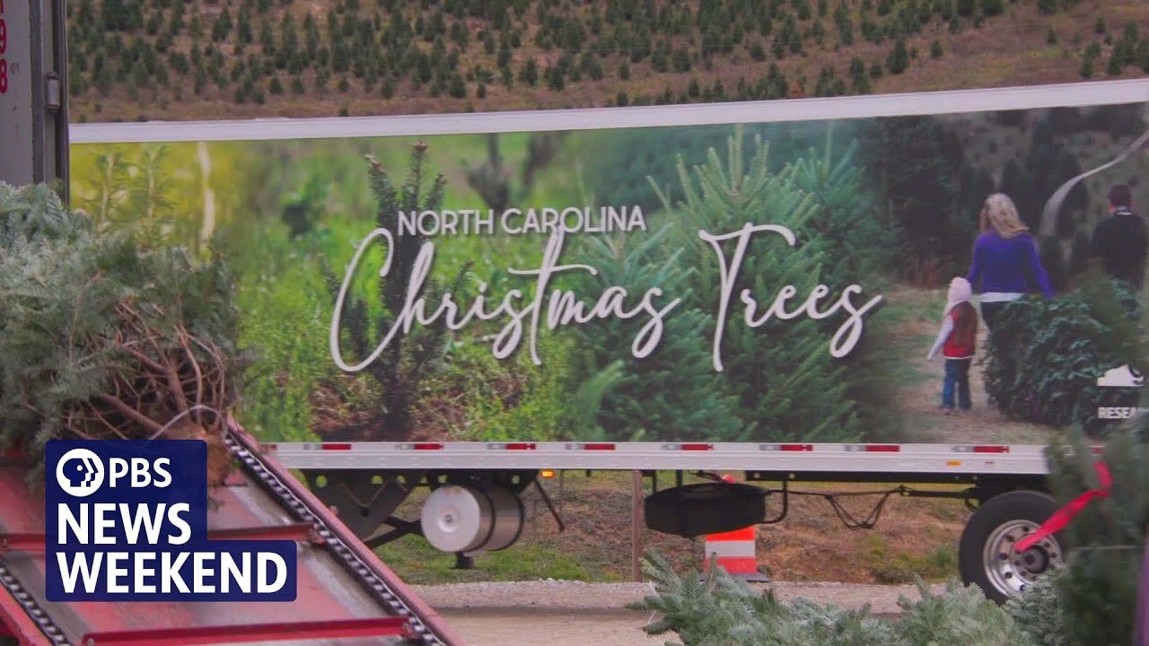 How a Christmas tree farm in North Carolina overcame Hurricane Helene’s destruction