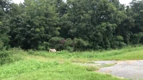 The Ghost at Paul Bennett cabin