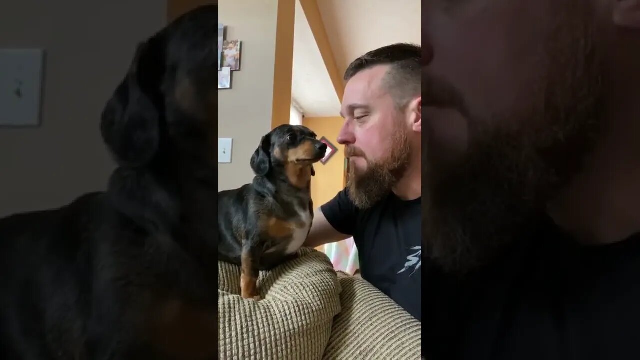 I Love You Too, Human
