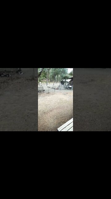 It is raining after months of dry weather