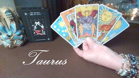 Taurus ❤️ These DEEP EMOTIONS Will Not Be Ignored Taurus!! Mid November 2022 #TarotReading