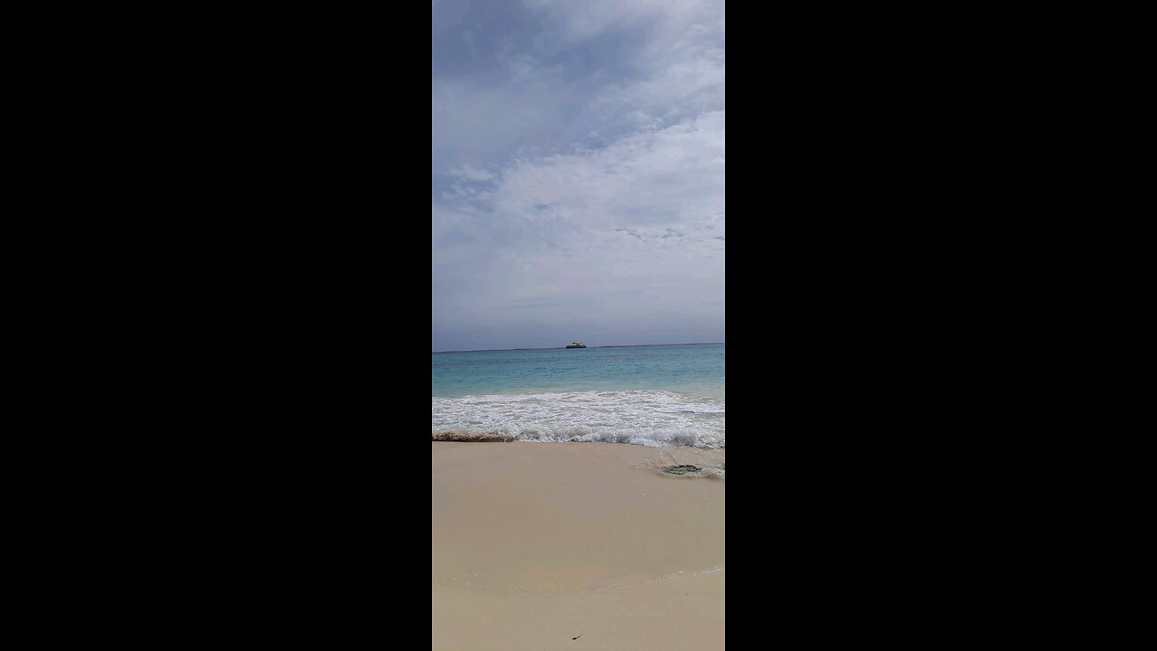 Ocean 1 playacar