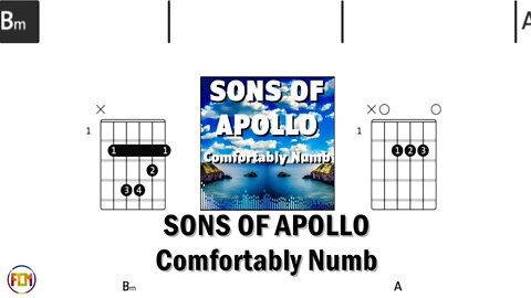 SONS OF APOLLO Comfortably Numb FCN GUITAR CHORDS & LYRICS