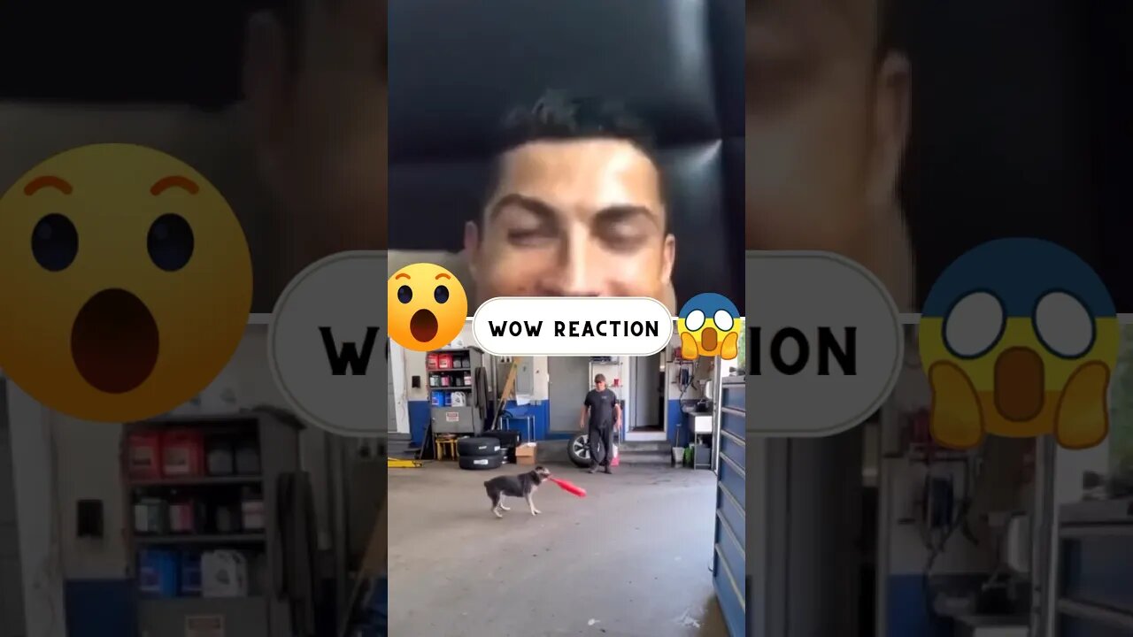 Cristiano Ronaldo Reaction #shorts #funnyvideo #respect #feedshorts #respectshorts #haha #fun #fypシ