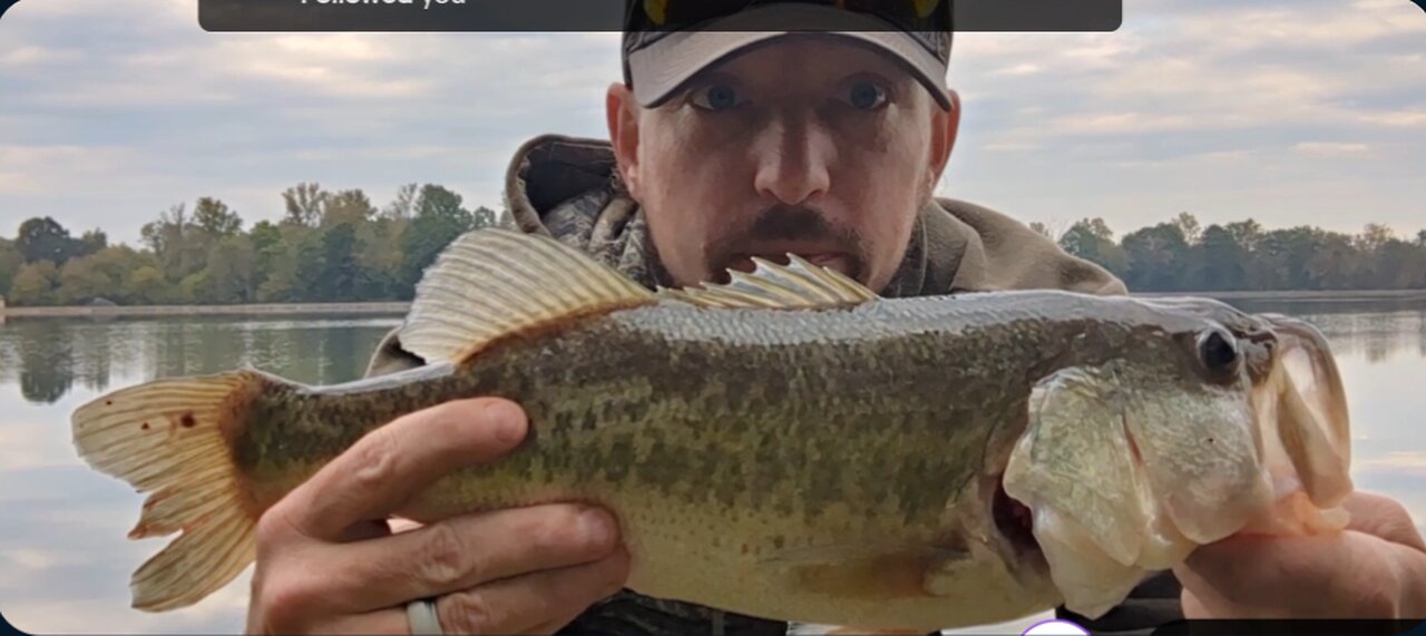 little bass on the Texas rig