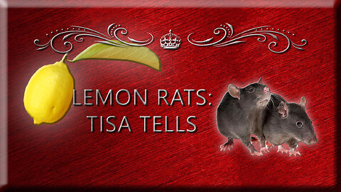 Lemon Rat: TisaTells