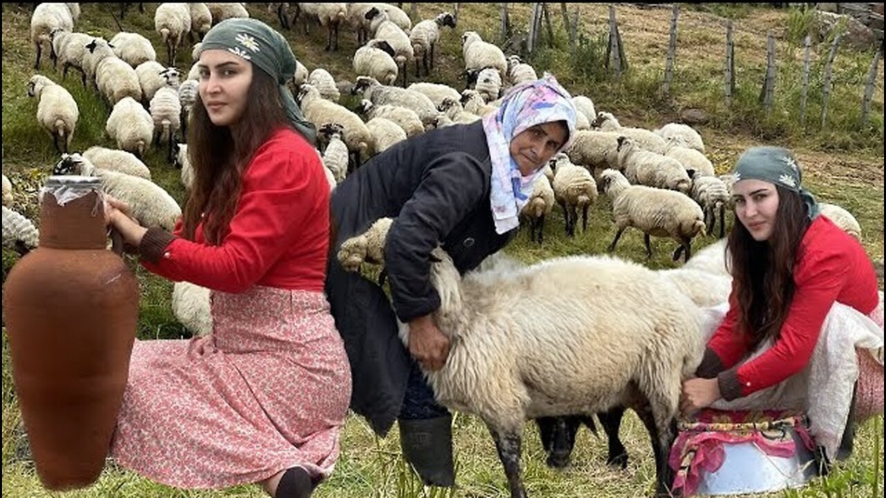 Daily life in nomadic life： Preparing dairy products in the mountains ⛰️⛰️