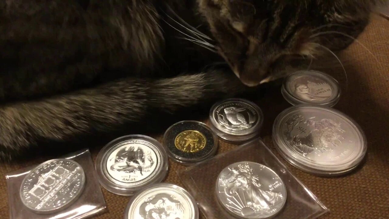 Silver & Gold: Too Many Choices?