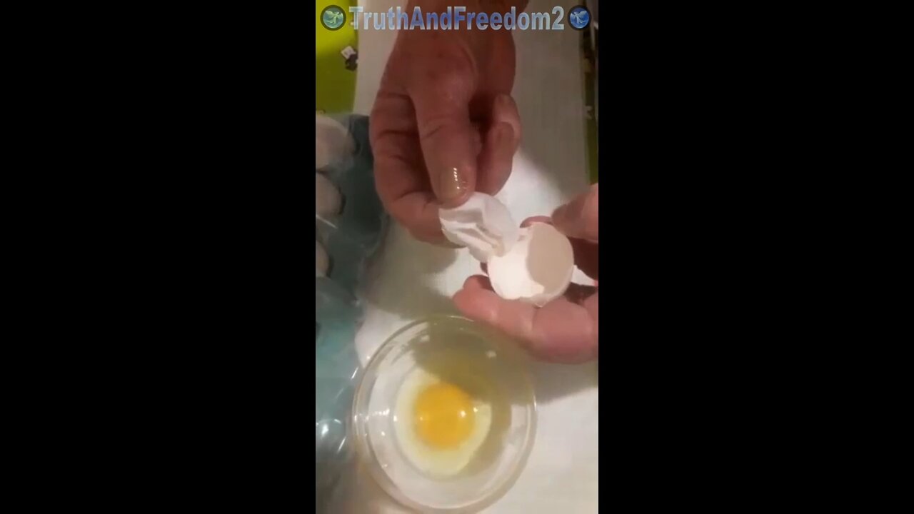 Brazil - Eggs come from chickens or humans?