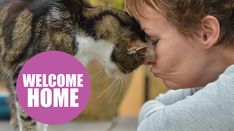 17yo moggy finally home after 13 years as a stray