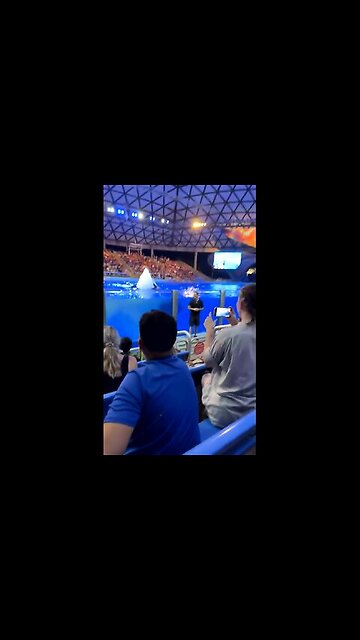 Whale takes a shit at crowd gets splashed immediately after