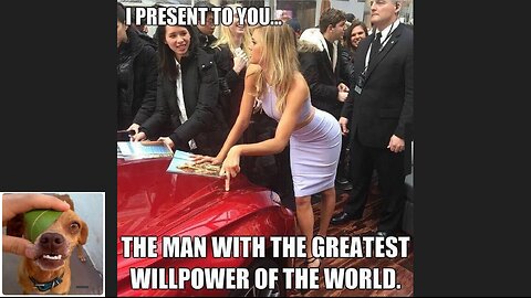 Memes That Will 99.942% Make You Laugh. (e167)