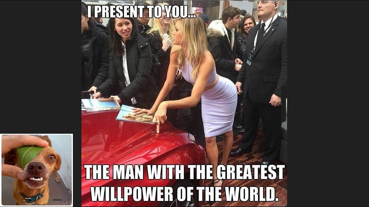 Memes That Will 99.942% Make You Laugh. (e167)