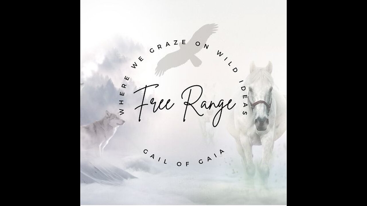 Silver Legion Prime Commander Tanaath Talks with Gail of Gaia on FREE RANGE