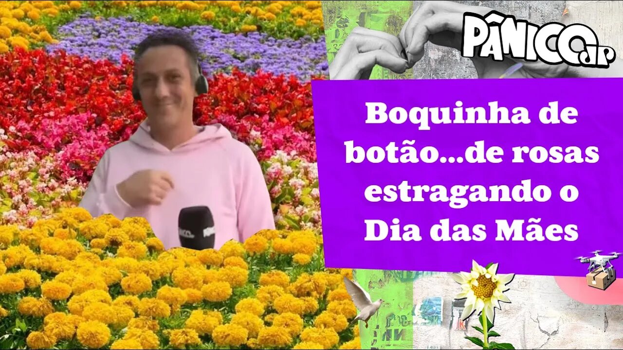 QUAL O PREÇO DAS FLORES ESSE ANO? FUZIL FOI DESCOBRIR