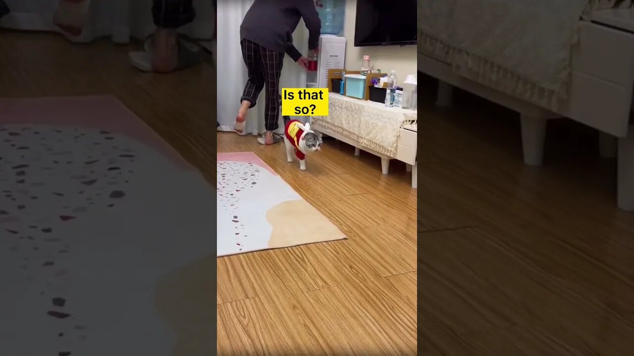 Most Amazing and trending video||relaxing your mind||trendig videos|| #shorts #trending #viral #live