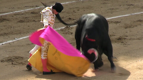 2024 04 28 MADRID CORRIDA DE TOROS ARAÚZ DE ROBLES