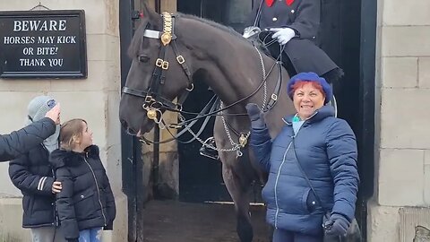 Touch the Reins and have good