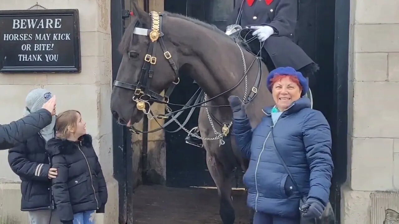 Touch the Reins and have good