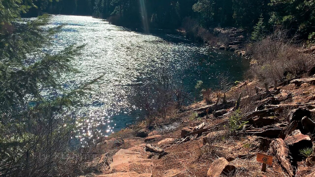 HIKING EXPLORING Trail Section Directly Across from Allen Springs Campground! | Metolius River | HD