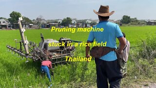 Rice plant pruning machine stuck in a rice field in Thailand