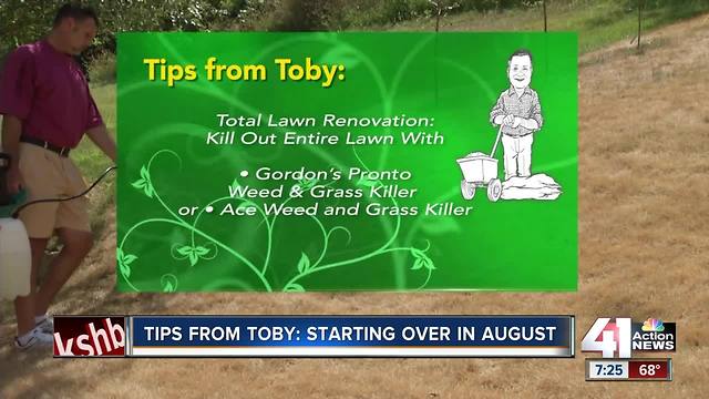 Tips from Toby: starting over in August