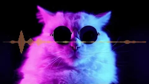 🔴🔴🔴CAT TO ELECTRO🔴🔴🔴