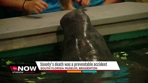 Snooty's death was 'result of preventable accident'