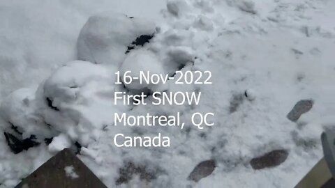 Montreal Snow - First of 2022 - HYLI