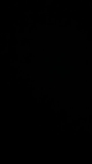 How to pronounce morning flight