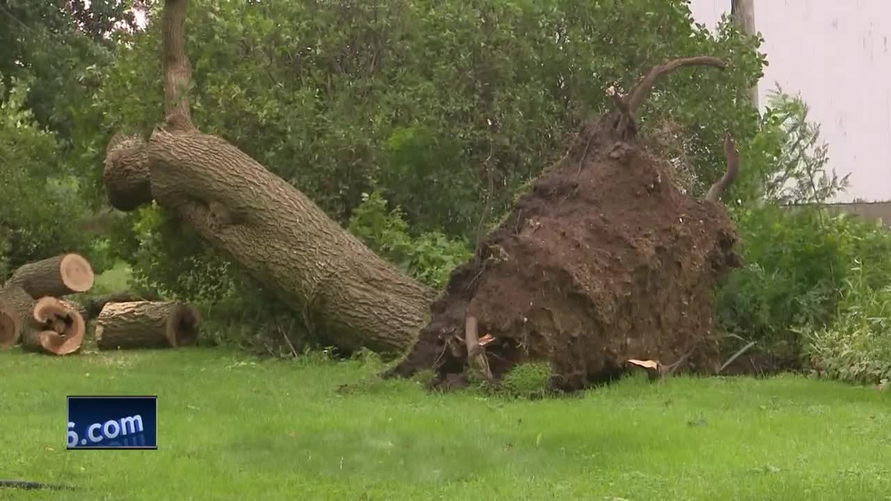 Clean-up after storms