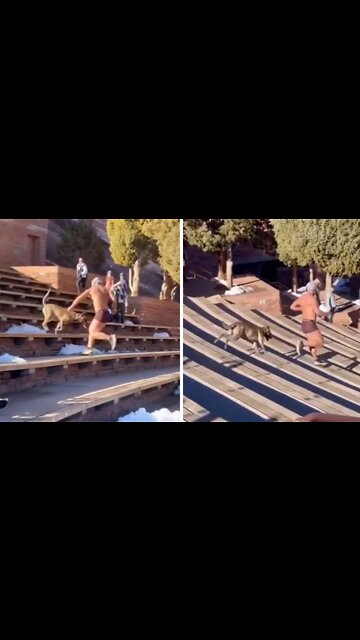 The Red Rock legend!