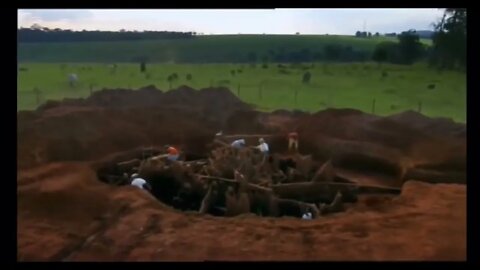 Nature is amazing. Researchers poured 10 tons of cement into an abandoned ant hive