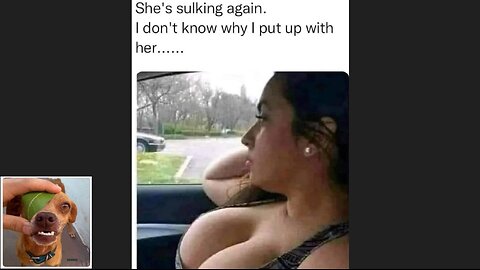Memes That Will 99.912% Make You Laugh. (e137)