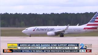 American Airlines no longer allowing certain emotional support animals on flights