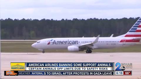 American Airlines no longer allowing certain emotional support animals on flights