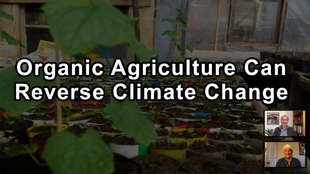 Why Renewable Organic Agriculture Can Improve Soil And Reverse Climate Change