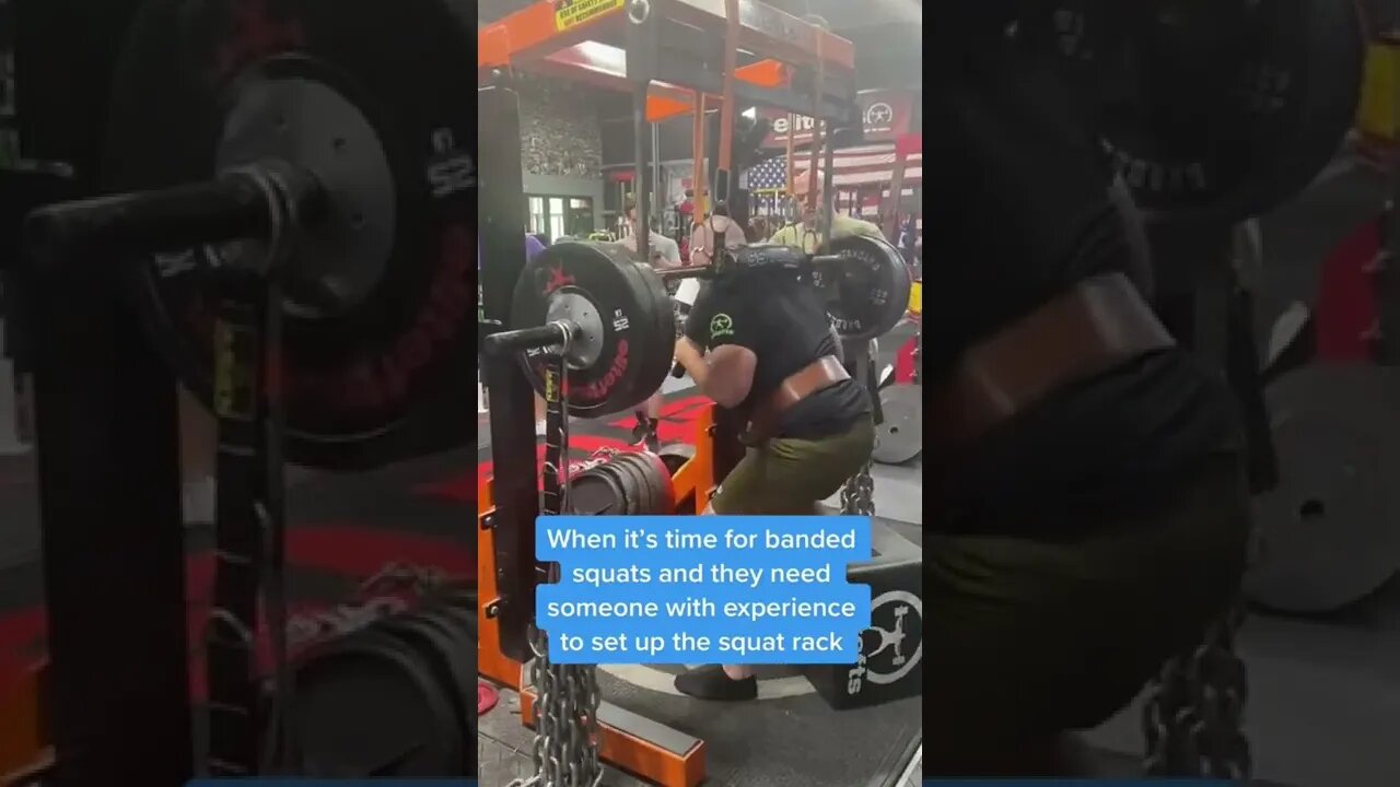 Enter: The Expert 👨‍🏫 #shorts