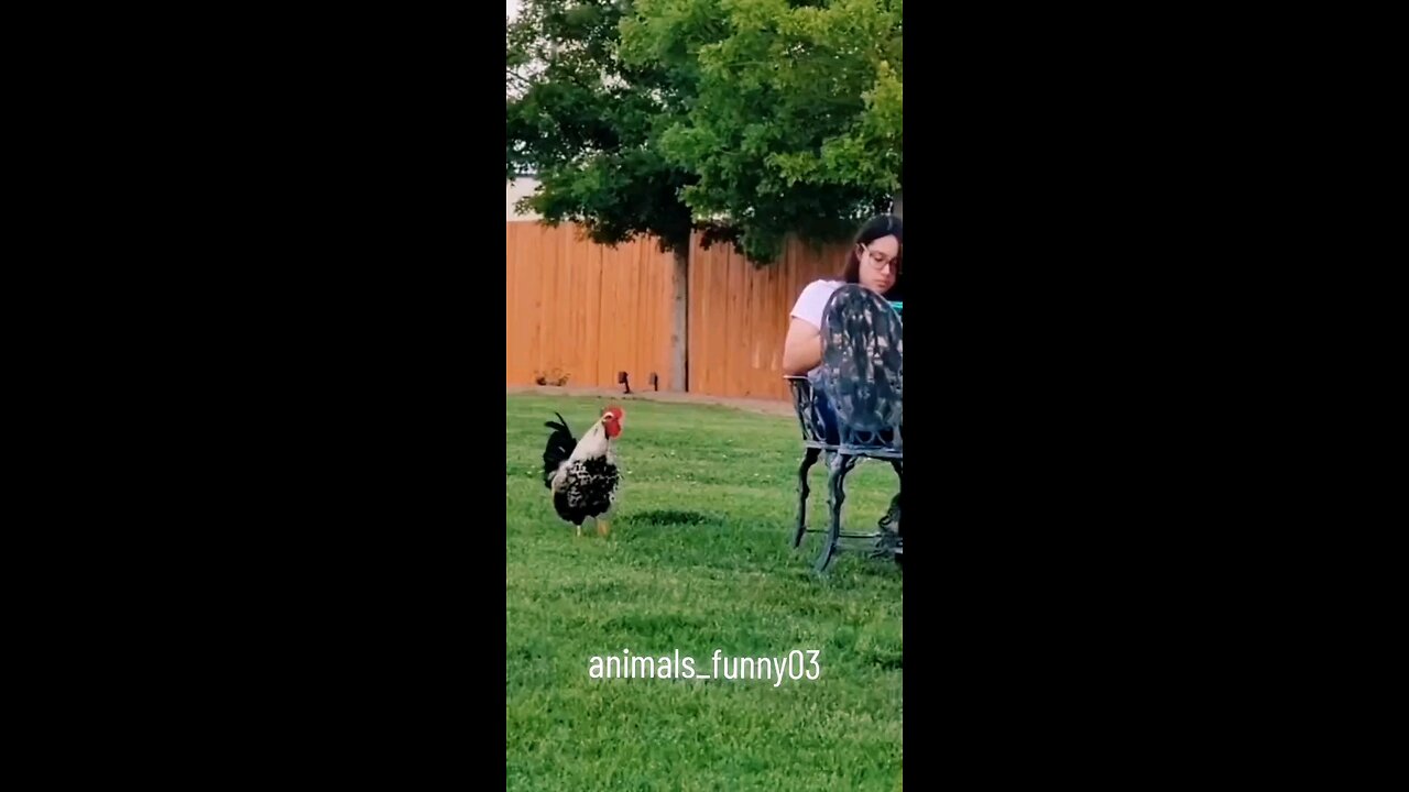 #funnyreels2024 #funnyvideoscomedy #funnyvideosclip #funnyvideosdownload #funnyvideosdaily #today