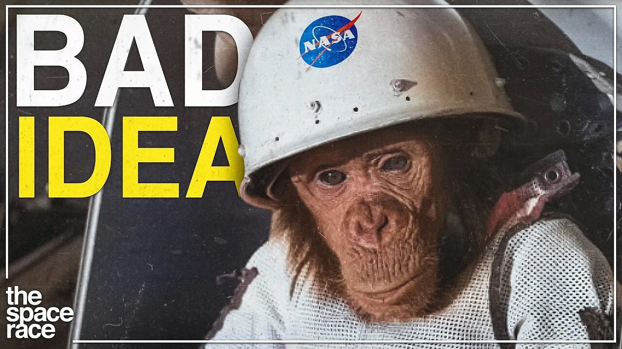 What Happened When NASA Launched A Monkey Into Space