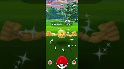 Shiny Compilation