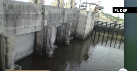 Toxic algae found near Port Mayaca