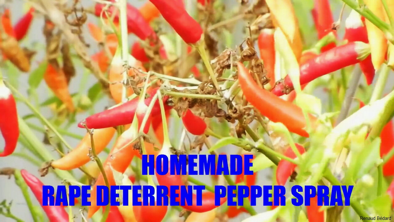 HOMEMADE RAPE DETERRENT PEPPER SPRAY