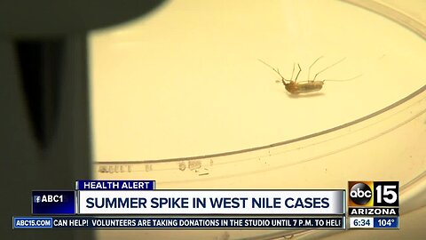 Maricopa County is seeing an early spike in West Nile virus this summer
