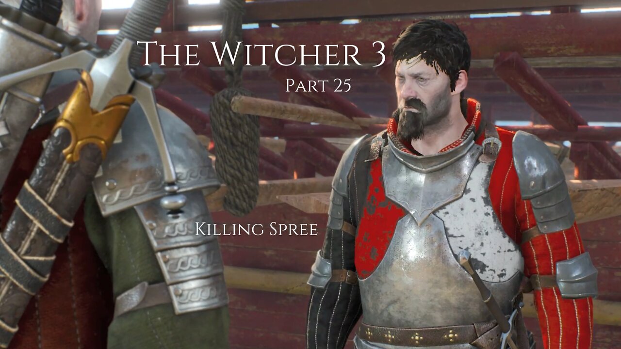 The Witcher 3 Wild Hunt Part 25 - Killing Spree