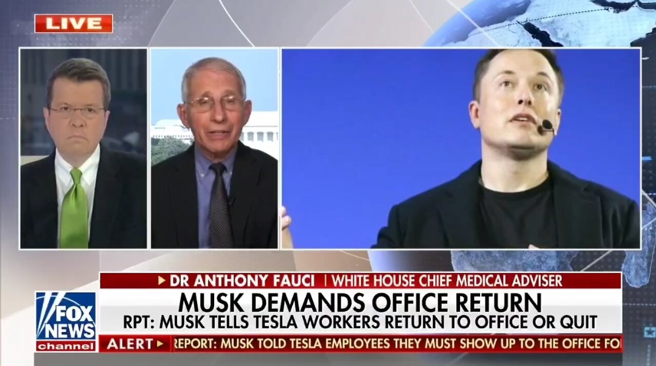 Fauci Won't Comment On Elon Musk Telling His Employees To Return To Work